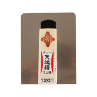 ビッグマン カネカ ステン天端鏝120ミリ 020209（直送品）