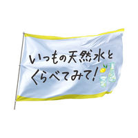 コカ・コーラ いろはす 天然水にレモン 555ml 1セット（48本）
