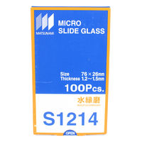 ビッグマン 水スライドグラス26×762-155-03 051877（直送品）