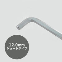 ビッグマン 六角棒レンチ HW-12.0（直送品）
