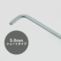 ビッグマン BM 六角棒レンチ5mm HWー5.0 1個