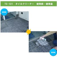 ビアンコジャパン 業務用 タイルクリーナー 20kg キュービテナー入り TS-101 1個