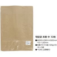 ササガワ 宅配袋 茶未晒クラフト 中 少量パック 32-1493 1袋(10枚)