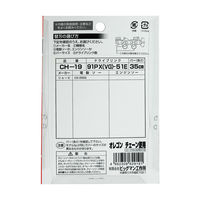 ビッグマン チェーンソー替刃91PX51E CH-19 062919（直送品）