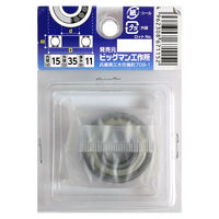 ビッグマン ベアリング BE-166202ZZE（直送品）