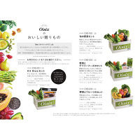 Oisix Oisixの美味しい贈りものDelicious（デリシャス） OXB-0001（直送品）