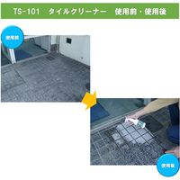 ビアンコジャパン 業務用 タイルクリーナー 300g スプレートリガー付き TS-101 1個