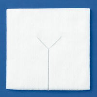 長谷川綿行　アピオスシンプルガーゼ　ASP-215Y 100枚入　455376　1個