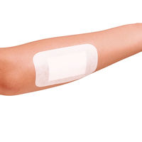 白十字 FC防水ワンタッチパッド S お徳用 1箱（22枚入）