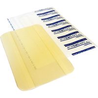 日進医療器 リーダーハイドロ救急パッド30P 100×160 823547 1箱(30枚入)