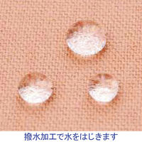 スリーエム 3M（TM） マルチポア（TM） スポーツ レギュラー伸縮固定 2743-37.5 1箱（8巻入）