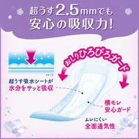 【吸水ナプキン】リフレ　超うす安心パッド　200cc　22枚　お得用パック　羽なし　29cm　1パック（22枚）　尿漏れ