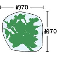 ユニバース グルメシート 桜 丸 11101 1包：24000枚（1000×24）（直送品）