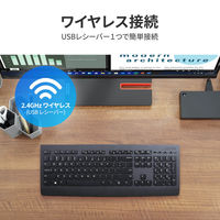 Lenovo プロフェッショナル ワイヤレス キーボード 英 4X30H56841 1台