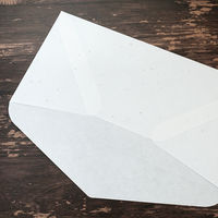 大直 大礼紙 金銀砂子 B5用封筒 205003207 1セット(50枚:5枚×10パック)