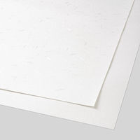 大直 大直礼状紙 B5 500枚入 206000005 1包(500枚入)