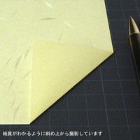 大礼紙 イエロー B5 10セット（200枚：20枚×10）（直送品）