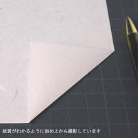 大礼紙 ピンク B5 10セット（200枚：20枚×10）（直送品）