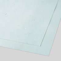 大直 大礼紙 ブルー A4 20枚入 206040403 1セット(200枚:20枚×10個)