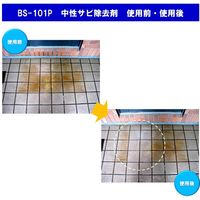 ビアンコジャパン 業務用 ブリーチング・スピリッツ・ペースト 400g チューブ入り BS-101P 2本（直送品）