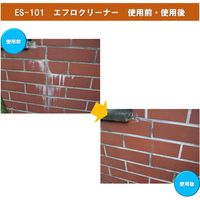 ビアンコジャパン 業務用 エフロクリーナー 300g スプレートリガー付き ES-101 1セット(2本)