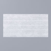 サラヤ 環境清拭クロス 本体 44167 1個（250枚入）