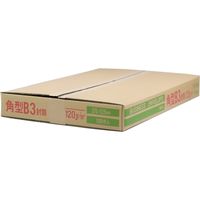ムトウユニパック 角形B3 大型封筒角型B3 OP(120) 11220120 1箱(100枚入)