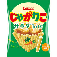 カルビー じゃがりこサラダ 1箱（16g×48袋入）