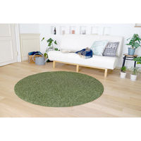 スミノエ スミトロンニューツイスティ 150cm円形 グリーン 4955141372478 1枚