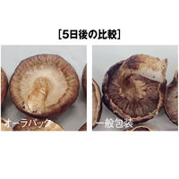 ベルグリーンワイズ オーラパック 鮮度保持袋 10号 ポリ袋(規格袋) 1袋（100枚入）