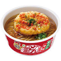 カップ麺 日清のどん兵衛 天ぷらそば (東日本版)　1ケース（12食入） 日清食品