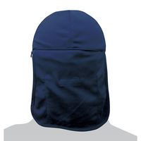 ブレイン クールヘッド+プラス(保冷剤別売) BR-558 1個