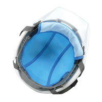 ブレイン ヘルメット汗取りインナー クーリングヘルパッド(保冷剤別売) BR-573 1個
