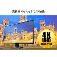 アイ・オー・データ機器 4K対応&広視野角VAパネル採用 LCD-M4K321XVB 1台