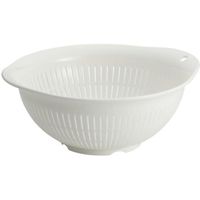 アスベル Nポゼザル(21型) 4950672653638 1セット(10個)（直送品）