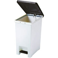 アスベル R防臭エバン・ペダルペール20L 4950672654116 1セット（2個）