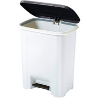 アスベル R防臭エバン・ペダルペール25L 4950672654123 2個（直送品）