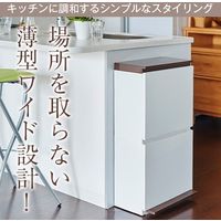 アスベル 分別ダストボックスペダル2段ワイド40L ホワイト 4974908680069 1個