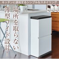 アスベル SP分別ダストボックス ペダル2段 ワイド レッド 4974908680229（直送品）