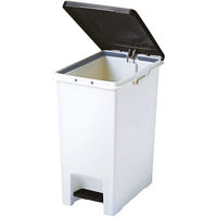 アスベル R防臭エバン・ペダルペール30L 4950672654130 1セット(2個)（直送品）