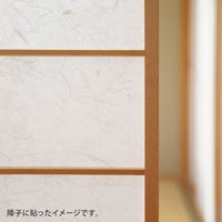 大直 楮障子紙 雲竜 2枚分 95138 1セット（直送品）