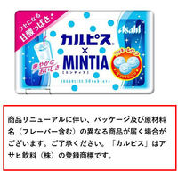 カルピス×MINTIA（ミンティア）　50個　アサヒグループ食品　キャンディ　タブレット