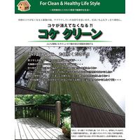 HORIE Corporation 【苔除去・抑制剤】コケクリーン 4kg ポリ容器入り HORIE-KC（直送品）