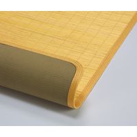 天然籐表皮玄関マット玄関マットS 幅600mm 奥行900mm（直送品）