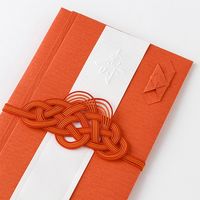 デザインフィル 金封 結婚祝 祝色 紅 25447006 1パック