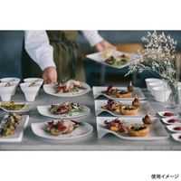 陶器のような紙の食器 WASARA 丸皿（大） 2010034 1包：400枚（100×4） （直送品）