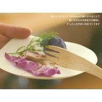 WASARA 竹製ナイフ 2010196 1包：250本 （直送品）
