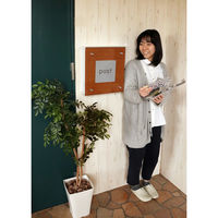 【軒先渡し】ヤマソロ Clein 壁掛けポスト 幅345×奥行130×高さ366mm ホワイト 73-081 1台（直送品）