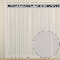 ユニベール ラージュレースホワイト W100xH203 4548654785912 1セット(レースカーテン2枚