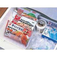 イノマタ化学 冷凍庫用フリーザースタンド 1セット(20個) 363（直送品）